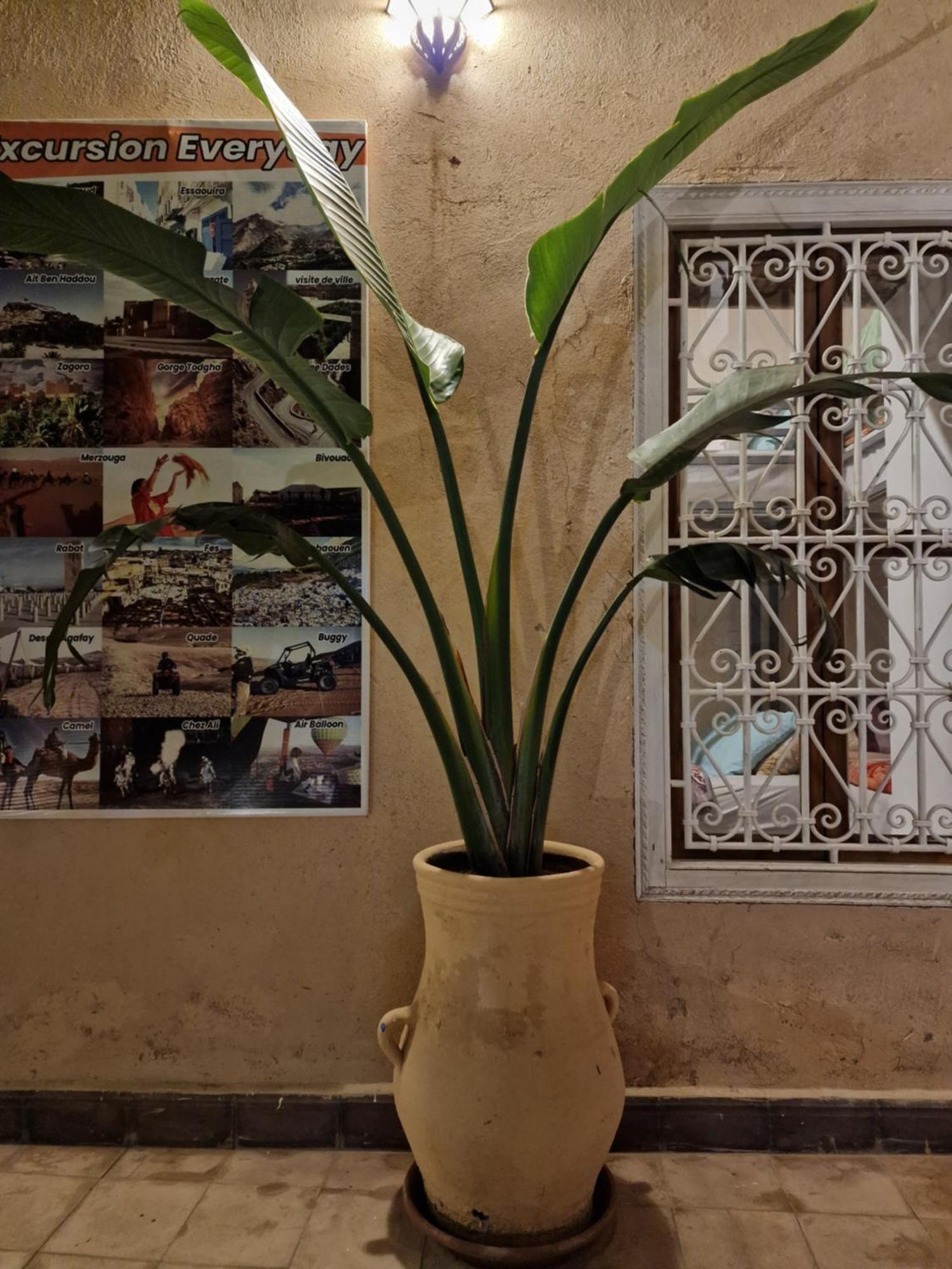 Hostel Laksour مراكش المظهر الخارجي الصورة